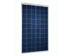 SolarWorld SW250 Poly 2.0 Pro Solar Module - Silver Frame 31mm